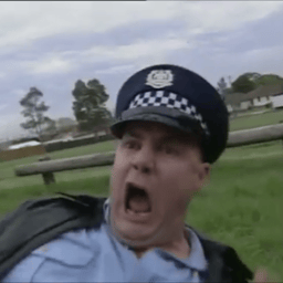 Murray the Cop