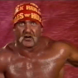 Hulk Hogan prime