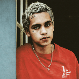 Dominic Fike Image