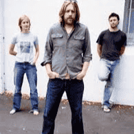 Spiderbait Image