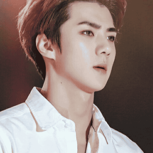 Oh Sehun from EXO Image