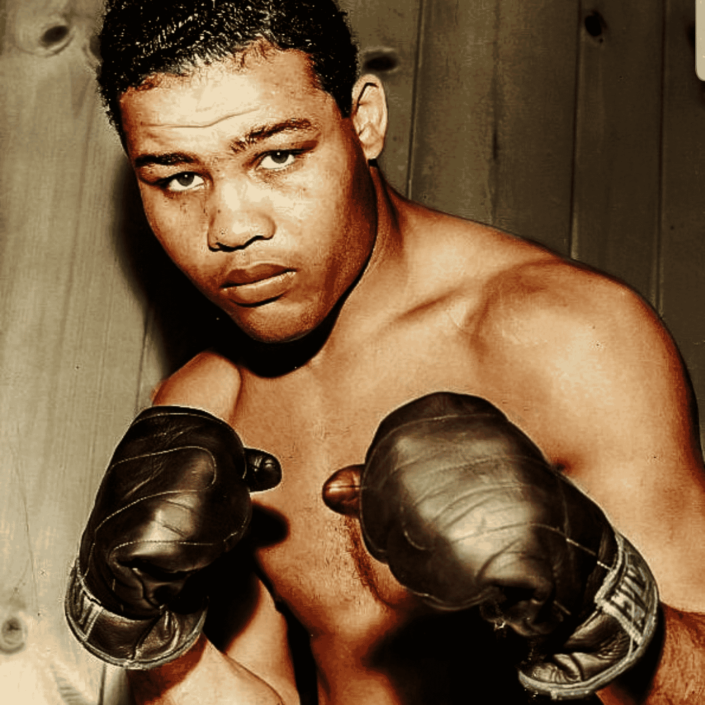 Joe Louis AI Voice