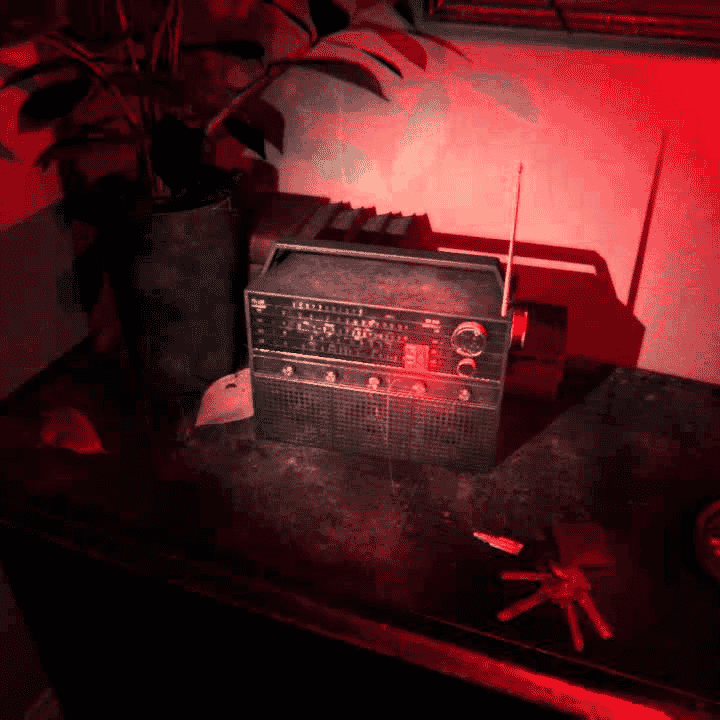 P.T. Radio Image