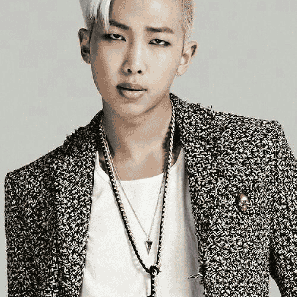 RAP mONSTER Image