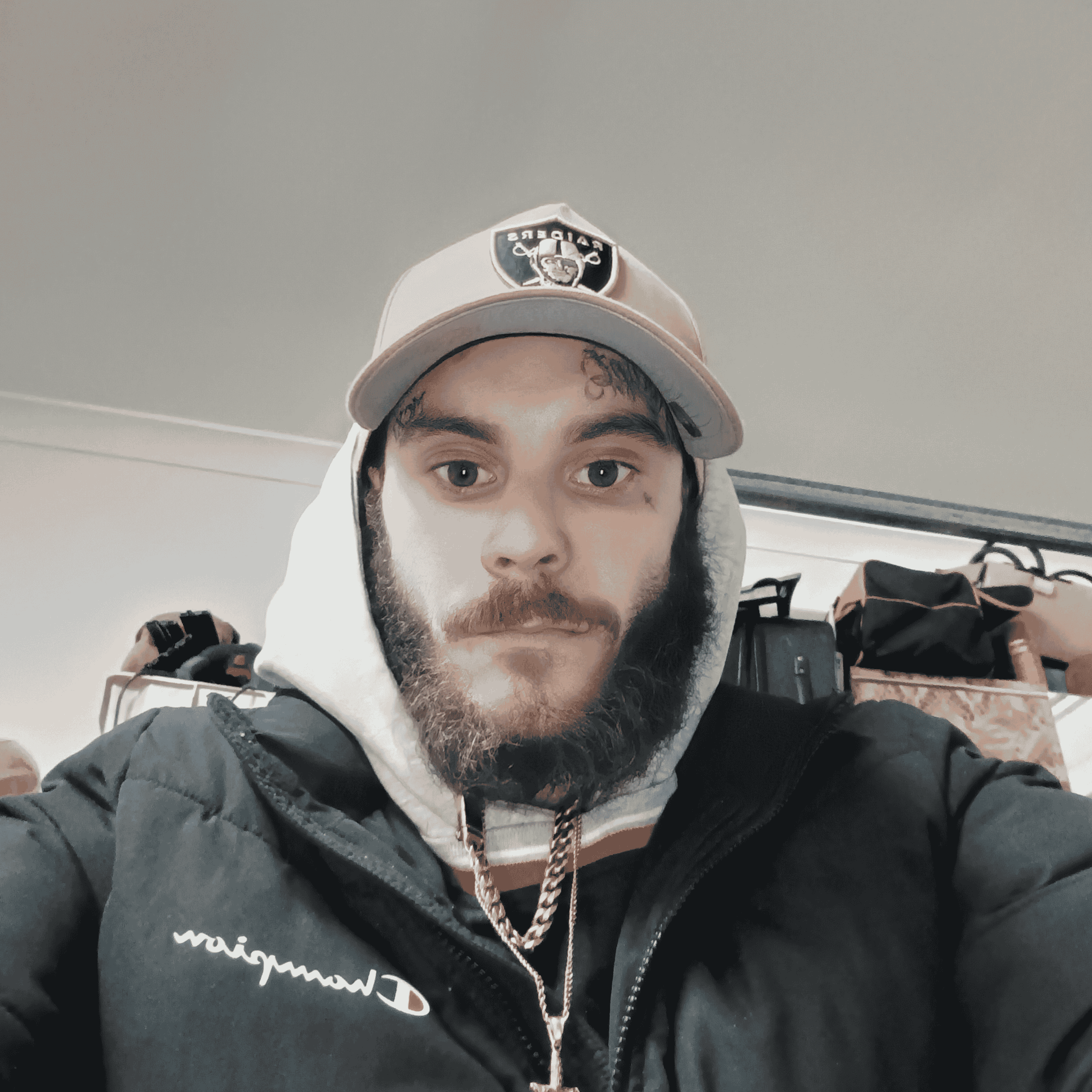 Dylan pettit AI Voice