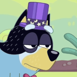 bandit heeler Image
