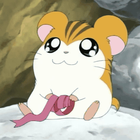 Sandy (Hamtaro) Image