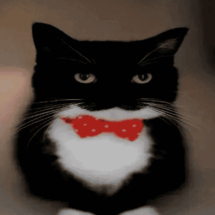 MOTFD Image