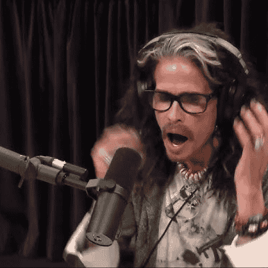 StevenTyler Image