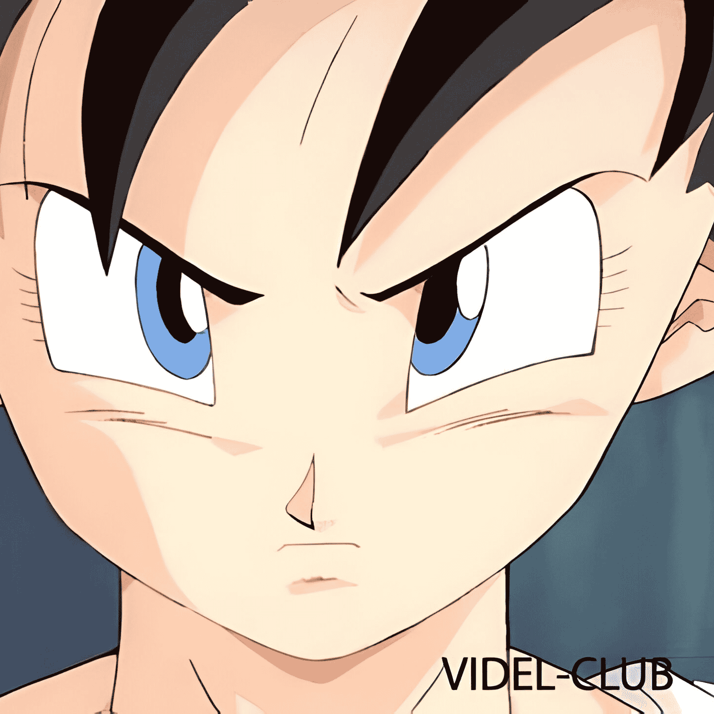 New Videl Satan (English Dub) Image