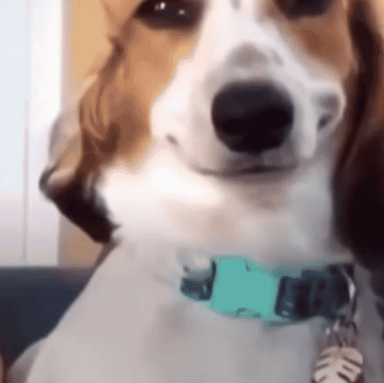 Beelz AI Voice
