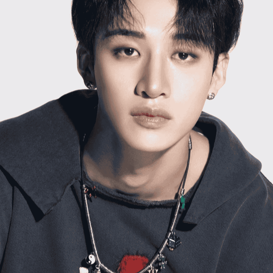 Bangchan Stray Kids SKZ Image
