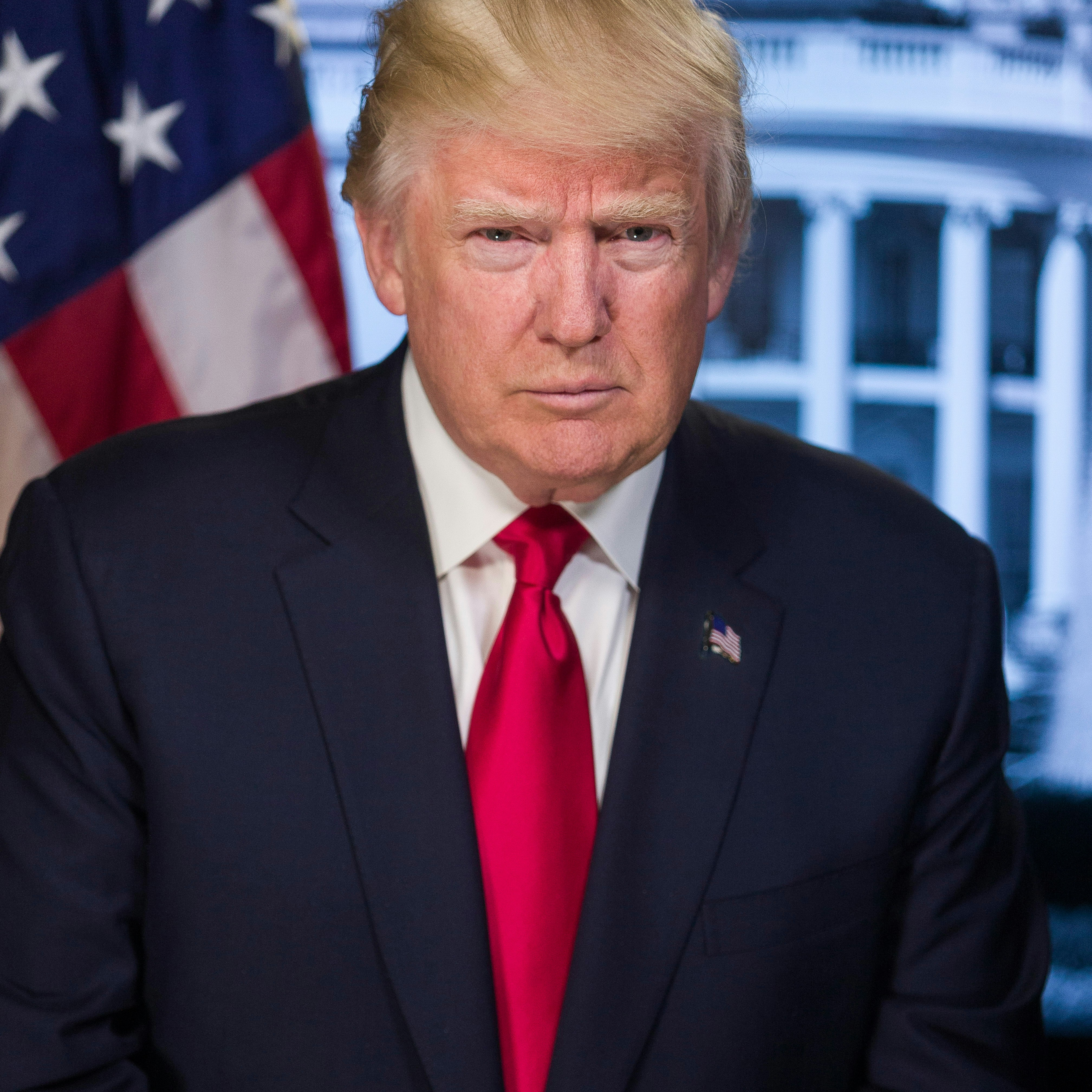 Donald Trump (Great Quality) Image