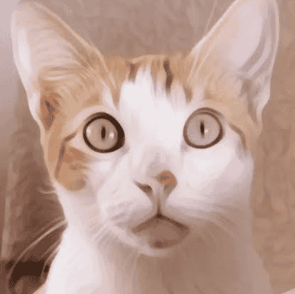 god_rainy (Brawl stars) Image