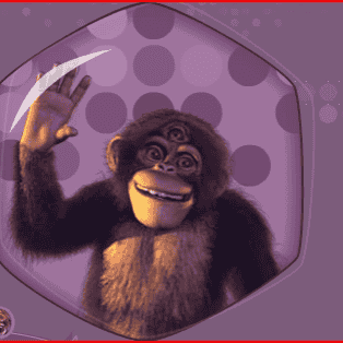 Paul (DNA Productions) Image