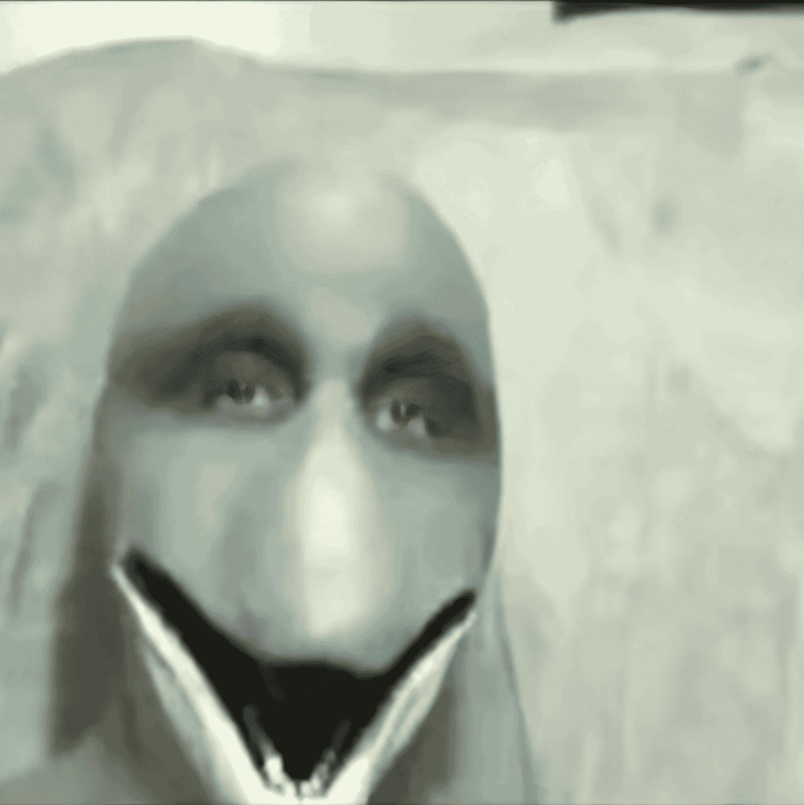 Dolphin Man Image