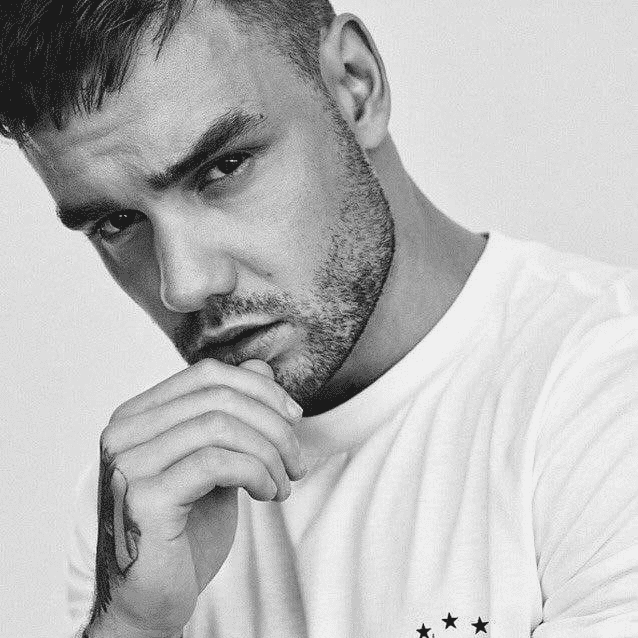 Liam Payne v3 Image