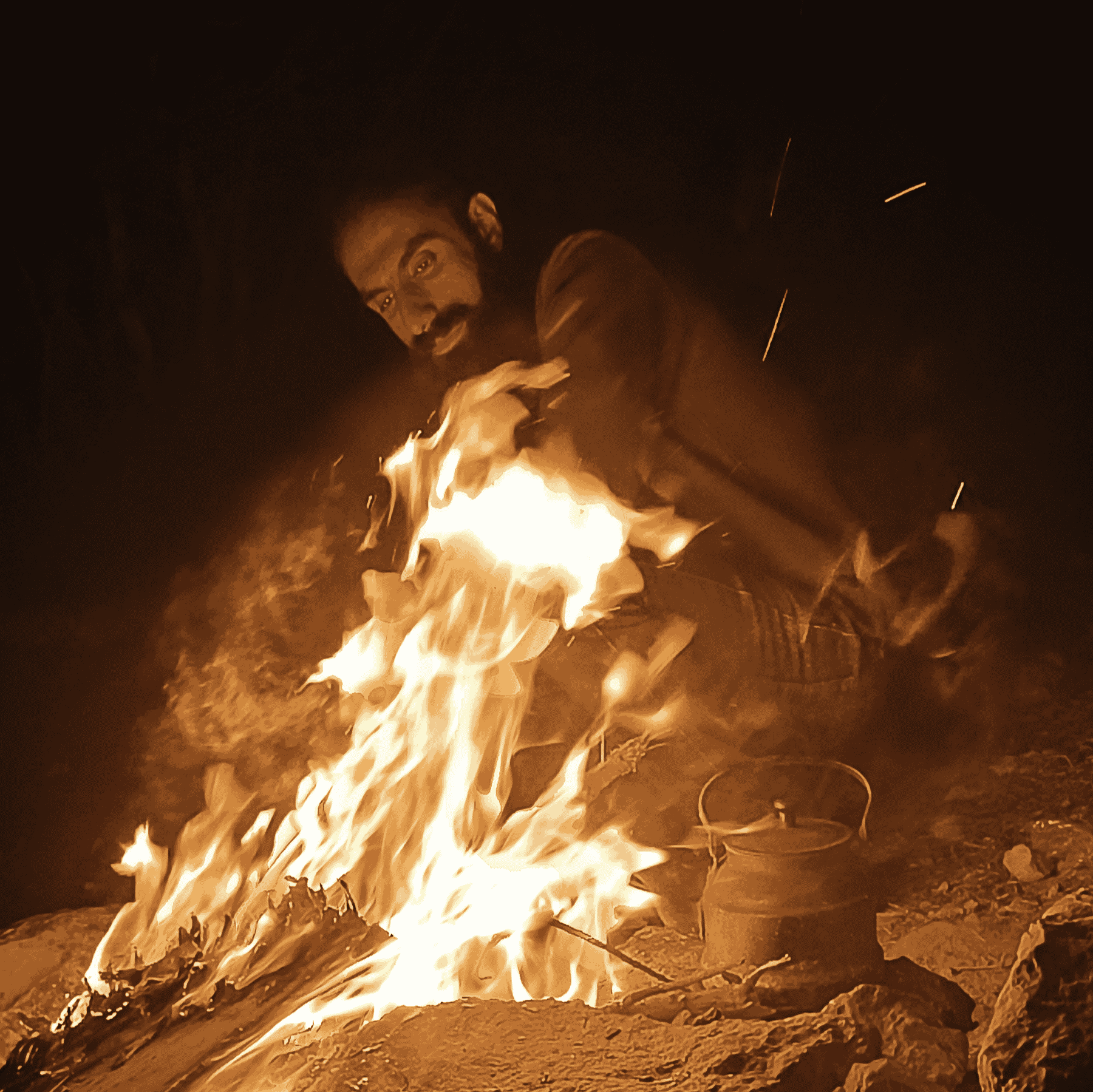 Alirezaasadi71 Image