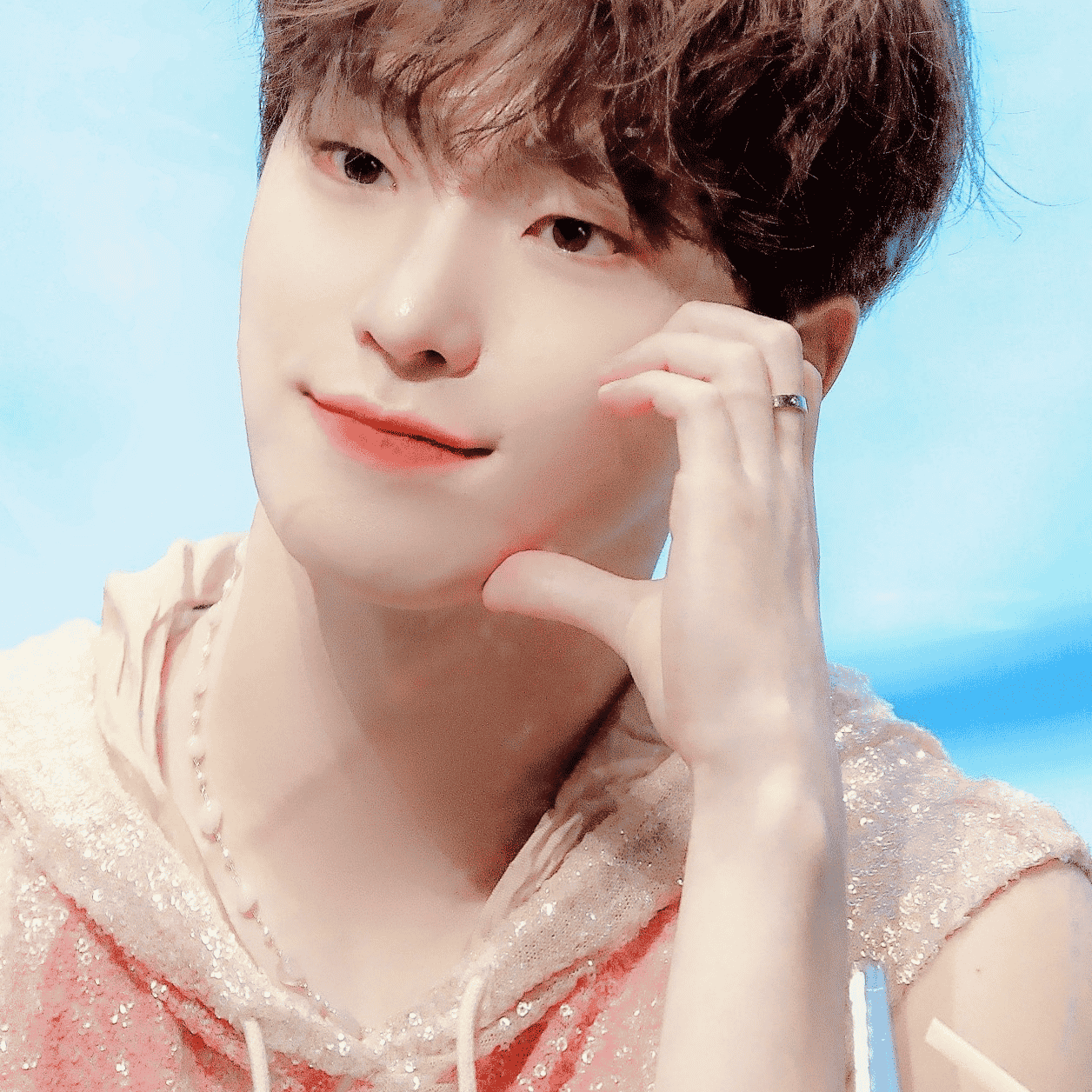 Dino svt Image