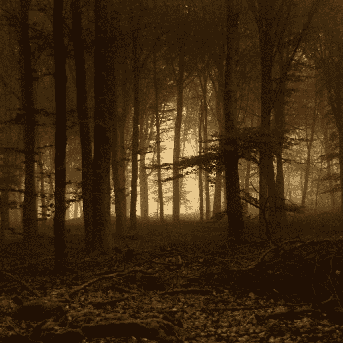 david lee roth  AI Voice