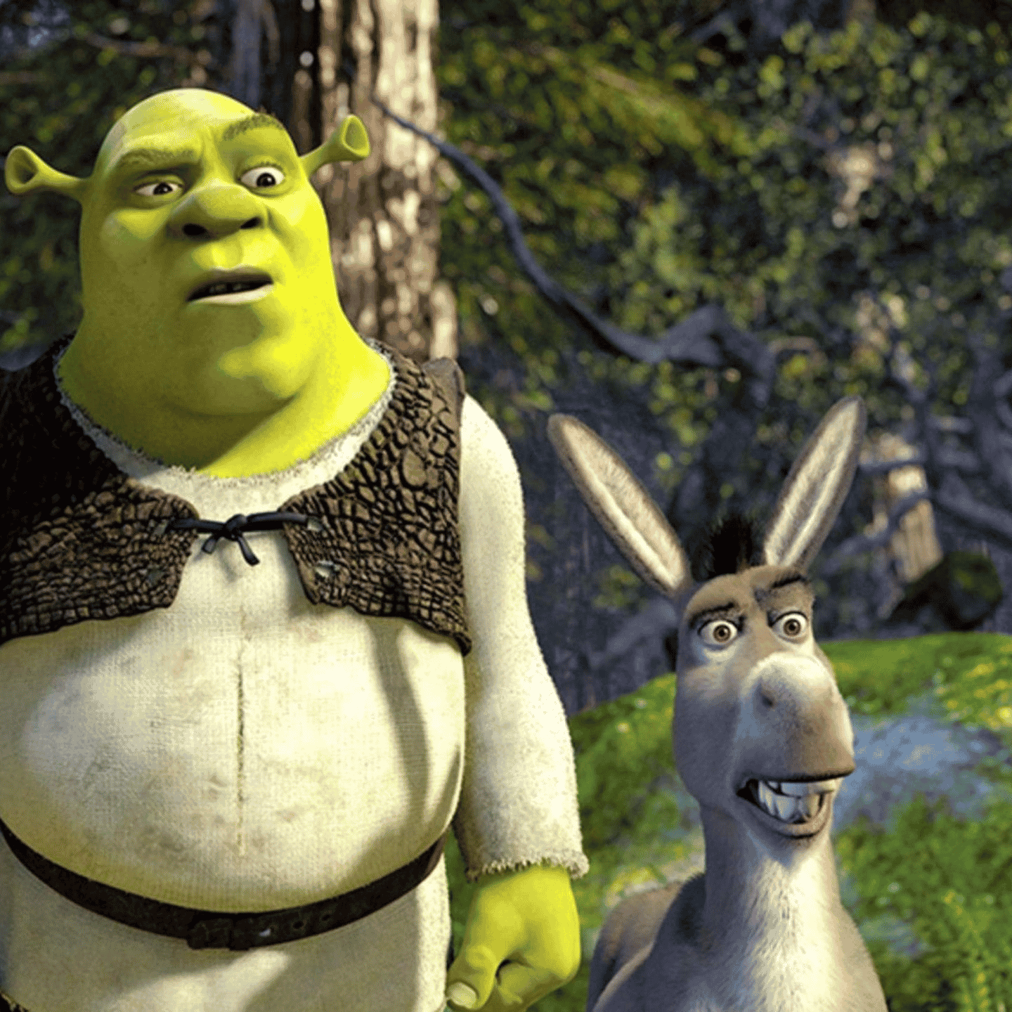 burro (Shrek)  Image
