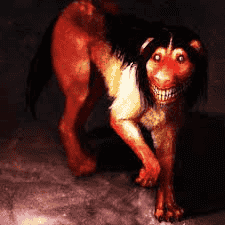 Smile Dog Image