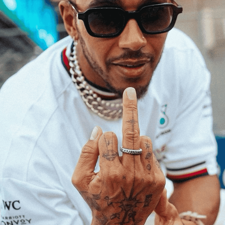 Sir Lewis Hamilton Image