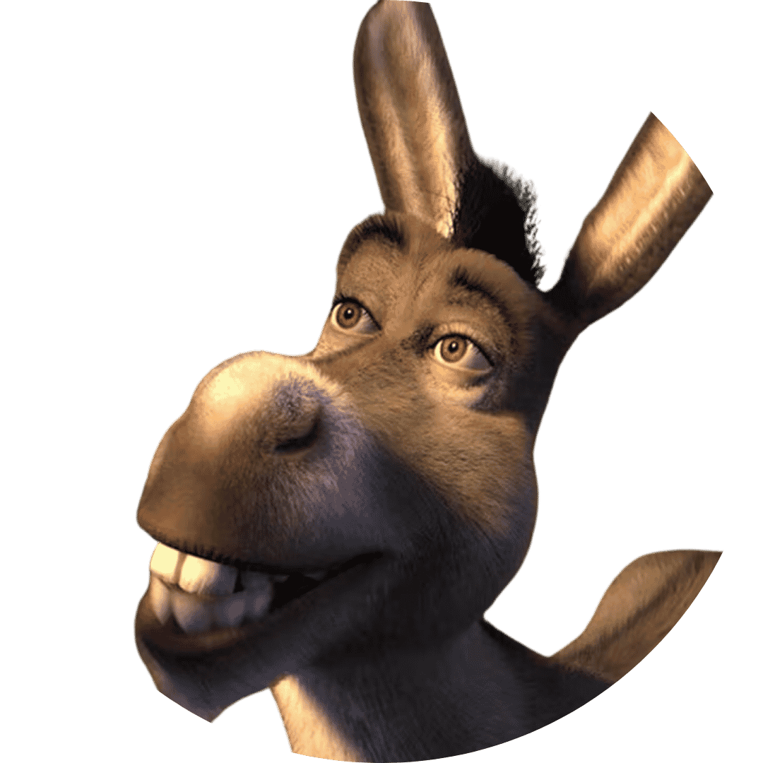Burro Canica Image