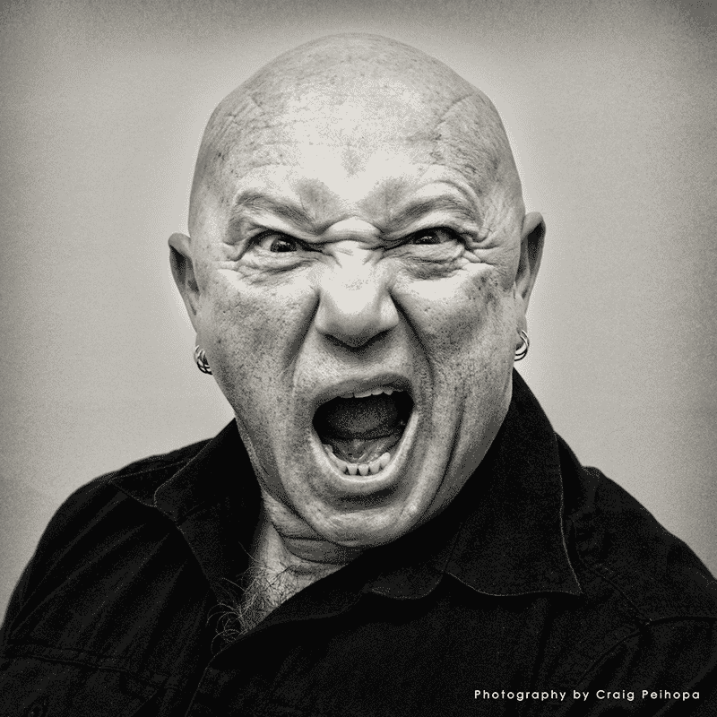Angry Anderson AI Voice