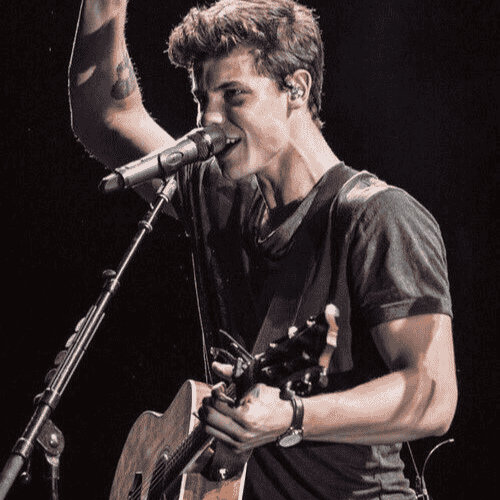 Shawn Mendes Illuminate  Image