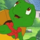 Franklin the Turtle Image