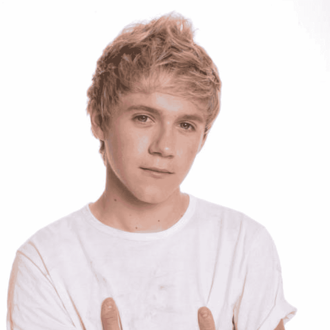 Niall H -2011 AI Voice