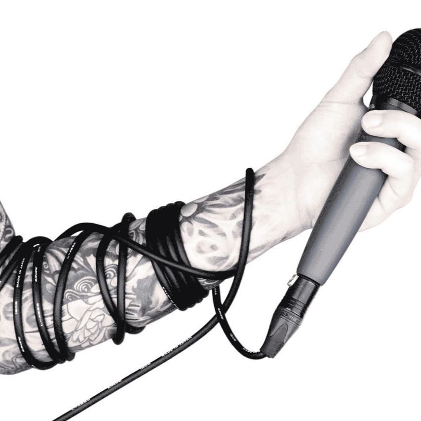 K' Vkei Voice AI Voice