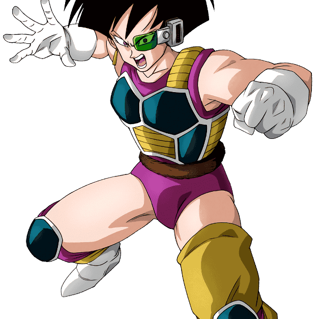 Fasha DBZ  Image