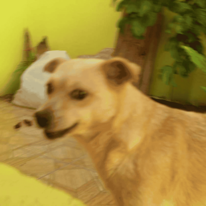 Oscar (from Pitu & Oscar) AI Voice