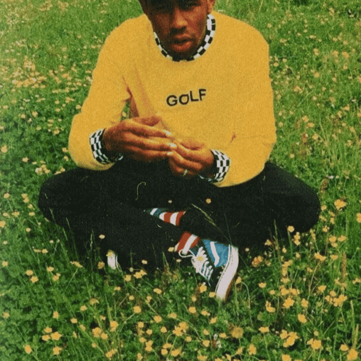 Tyler The Creator 2.0 Image