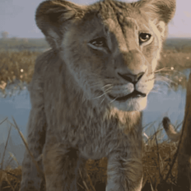 Cub Taka/Scar {Mufasa: The Lion King} Image