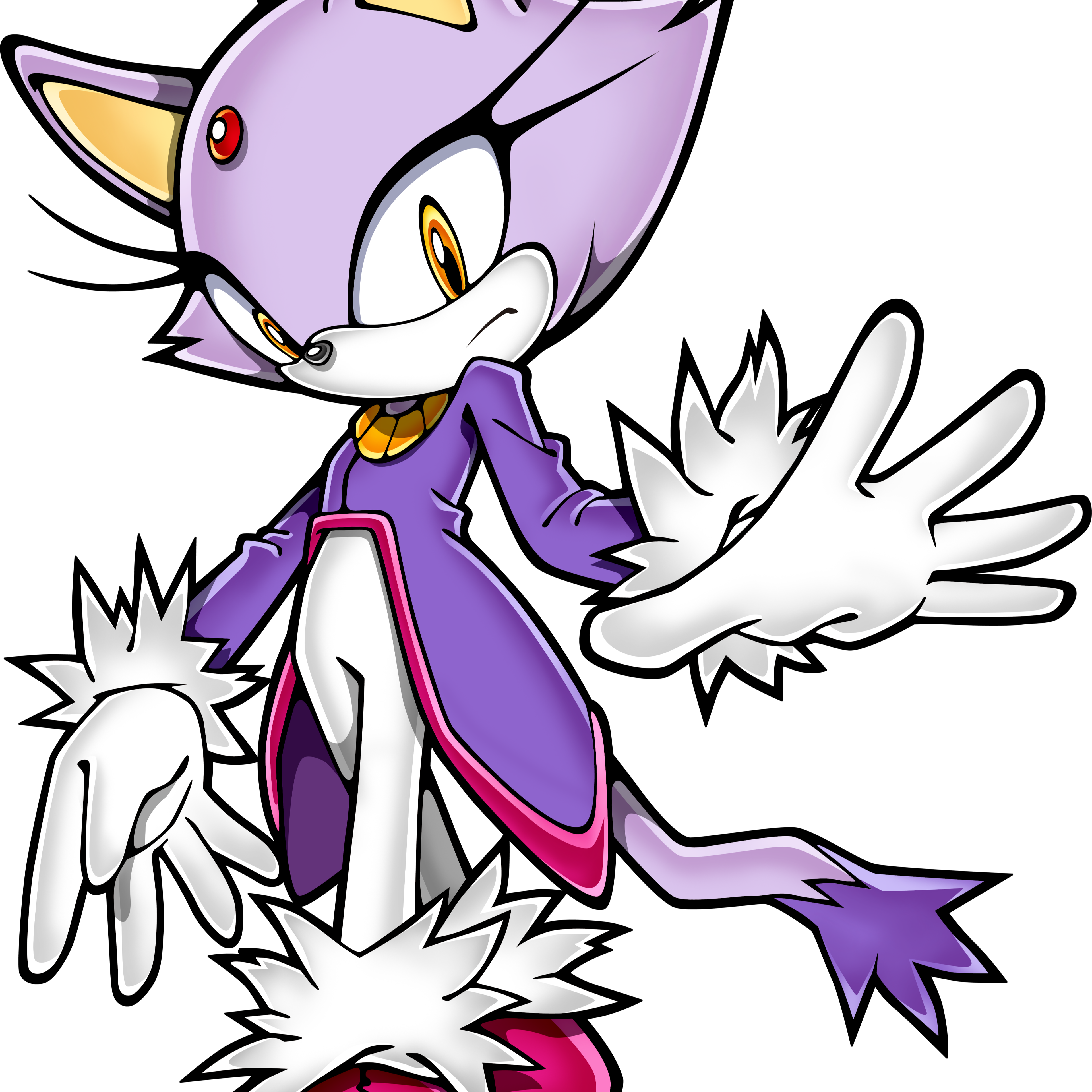 Blaze the Cat (Sonic Rush/DS era) Image