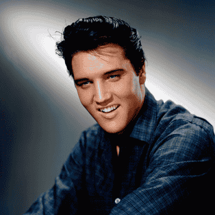 Elvis 2024 Image