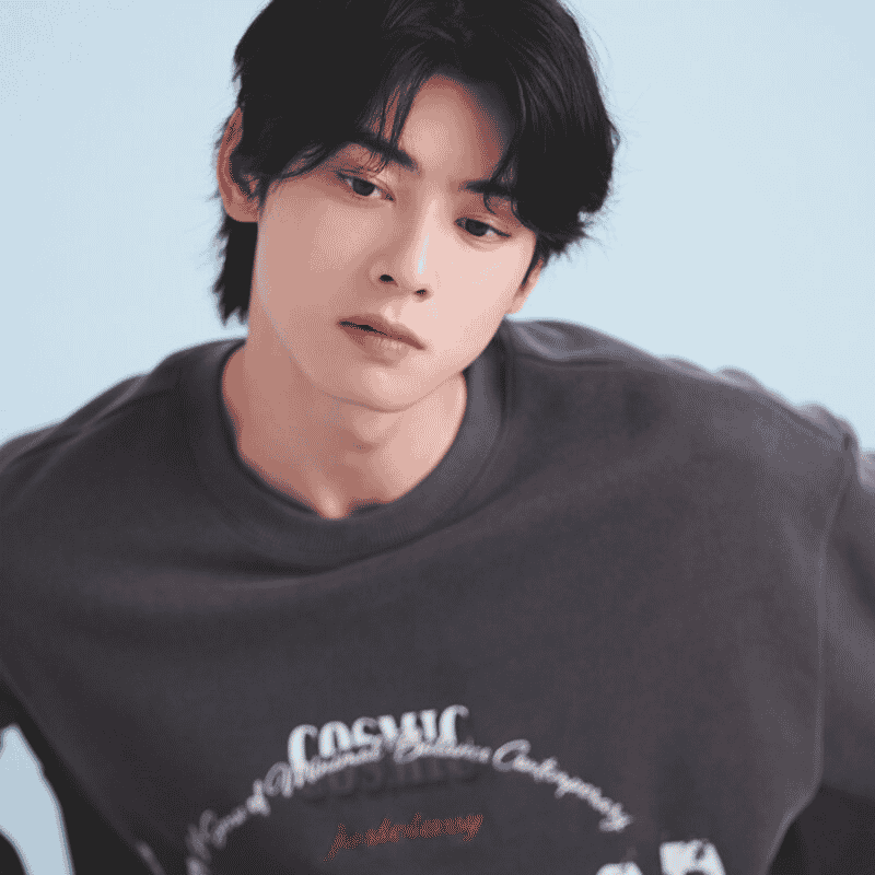 Cha Eunwoo Image
