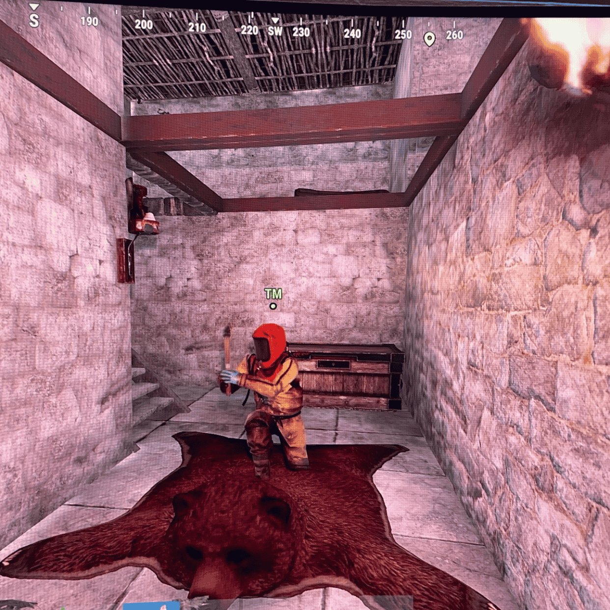 Andrè Freestyle Haugen Image