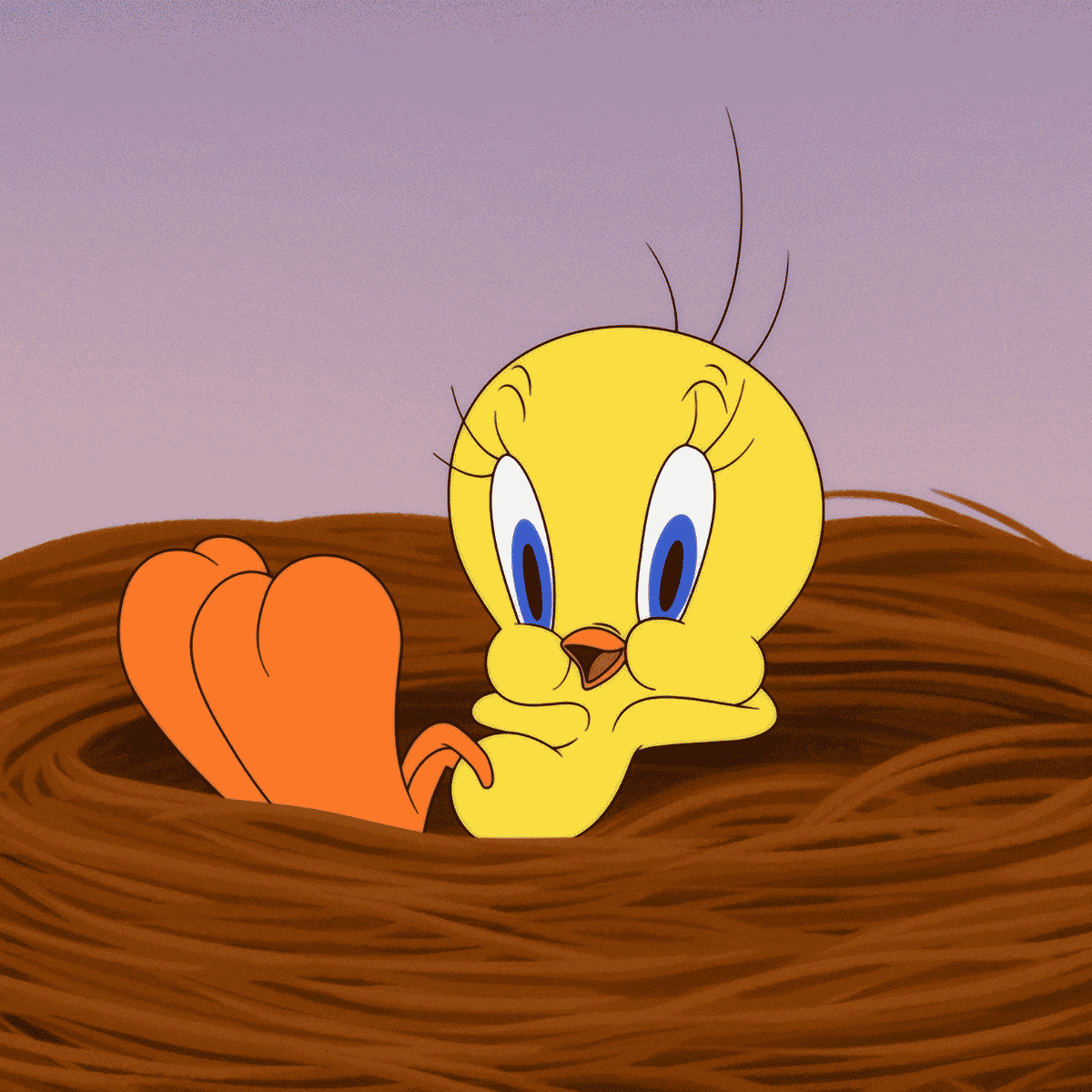 Tweety Image