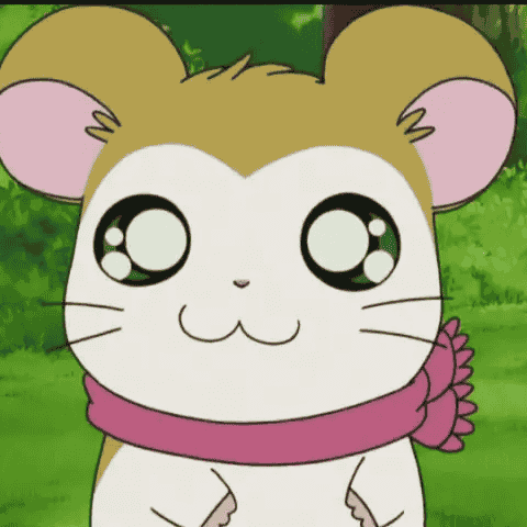 Pashmina (Hamtaro) Image