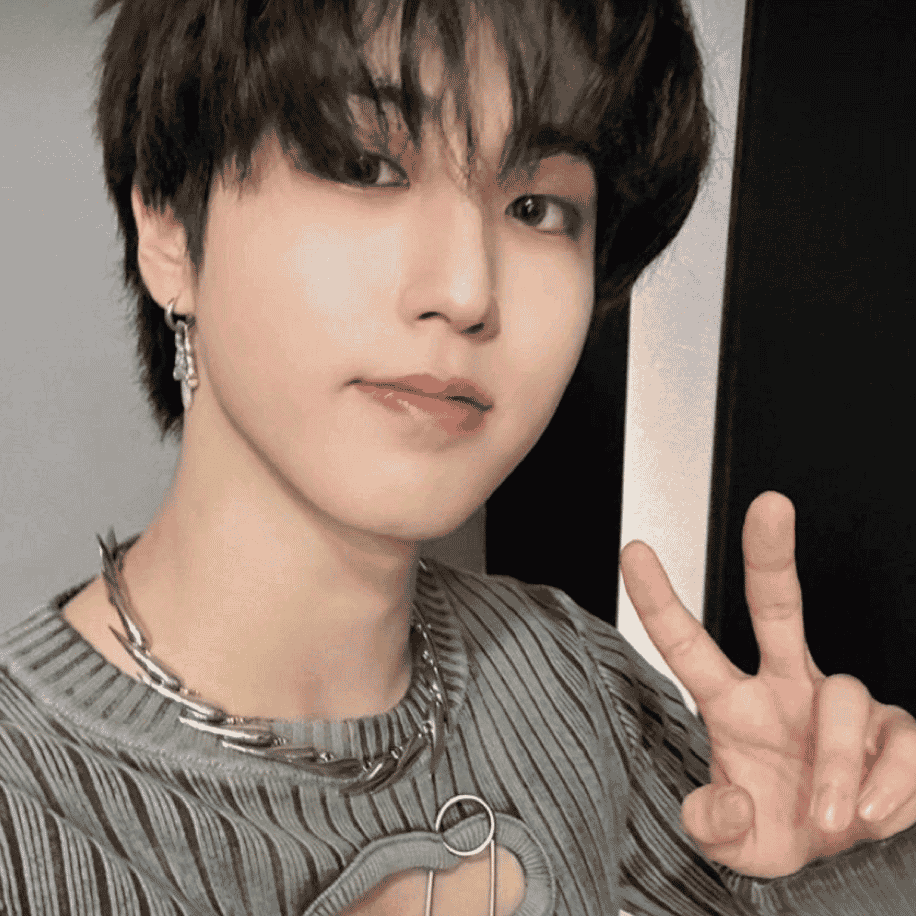 Han Straykids  Image