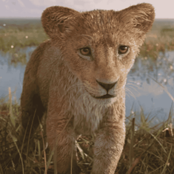 Cub Mufasa {Mufasa: The Lion King} AI Voice
