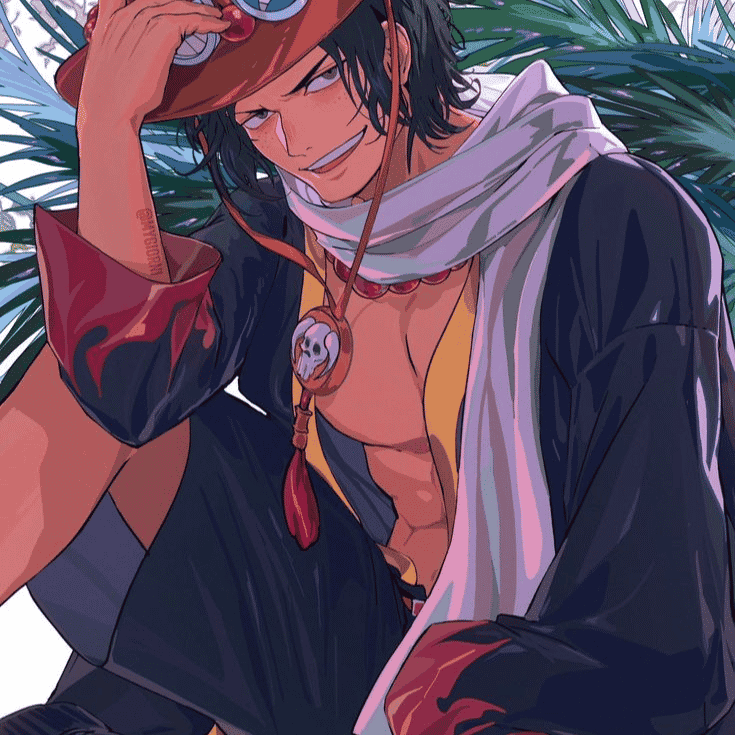 ACE one piece jp Image