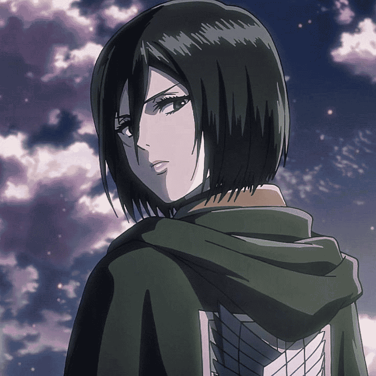Mikasa Image