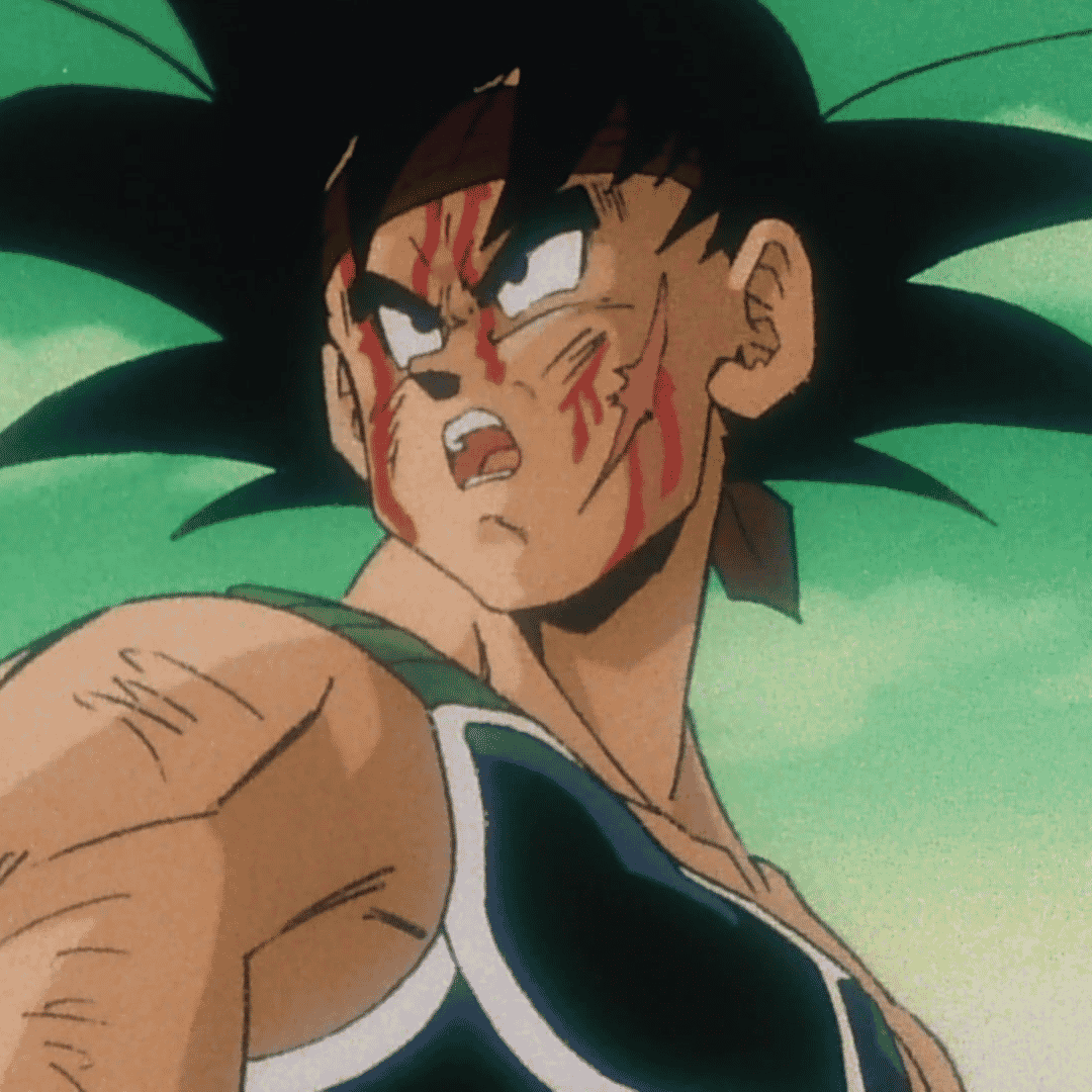 Bardock Image