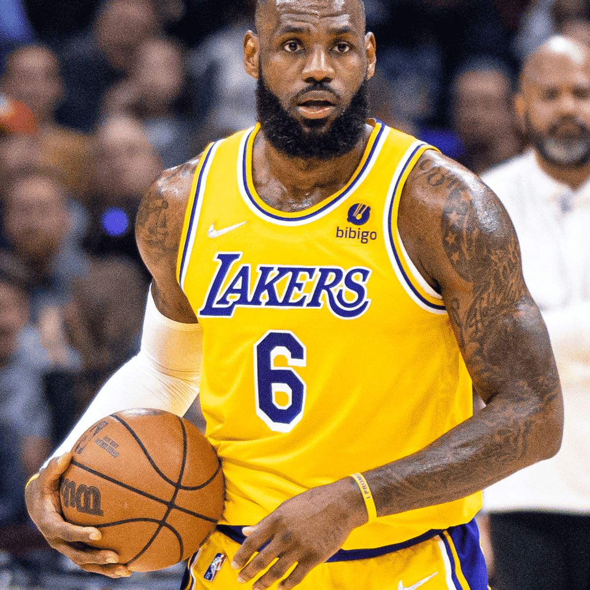 LeBron James Image