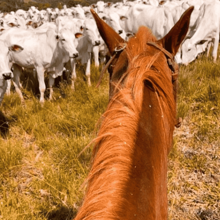 EDUNATAN PRIME OF PRIME Image